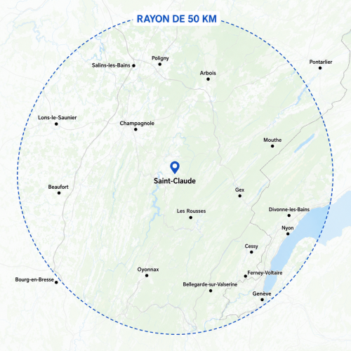 zone intervention zf renova
